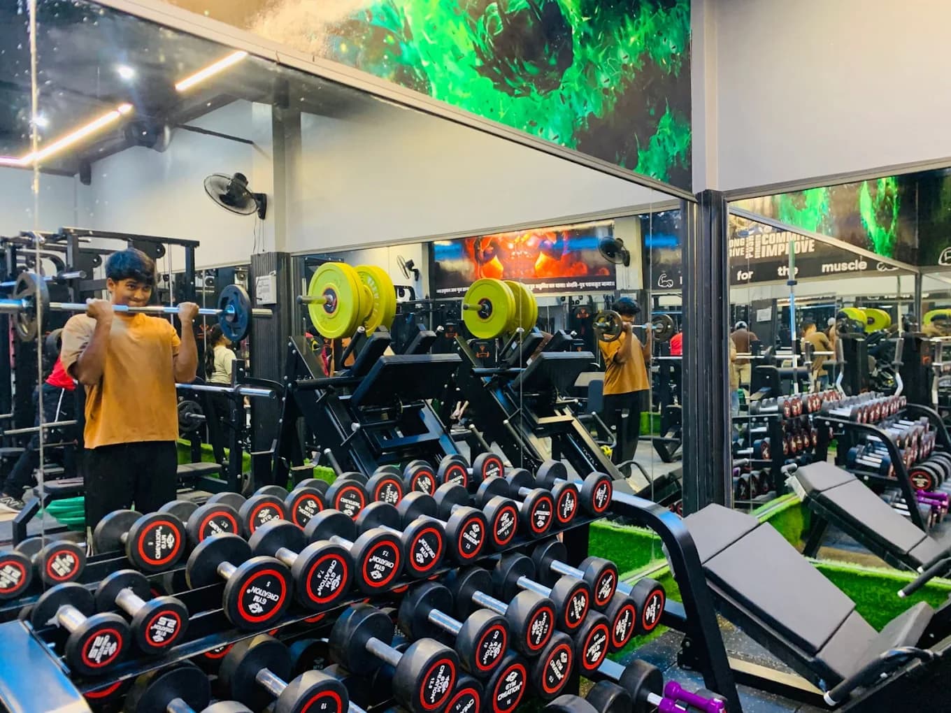 Free Weights & Dumbbell Rack